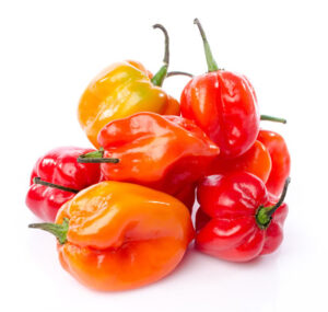 Fresh Hot Pepper – Scotch Bonnet – Rodo (4kg – 5kg Box) - MyAfricanShop
