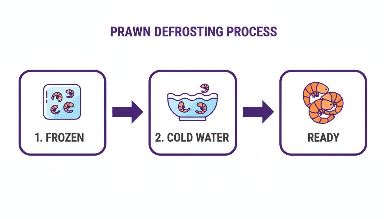An infographic showing the prawn defrosting process from frozen block to ready prawns using cold water.