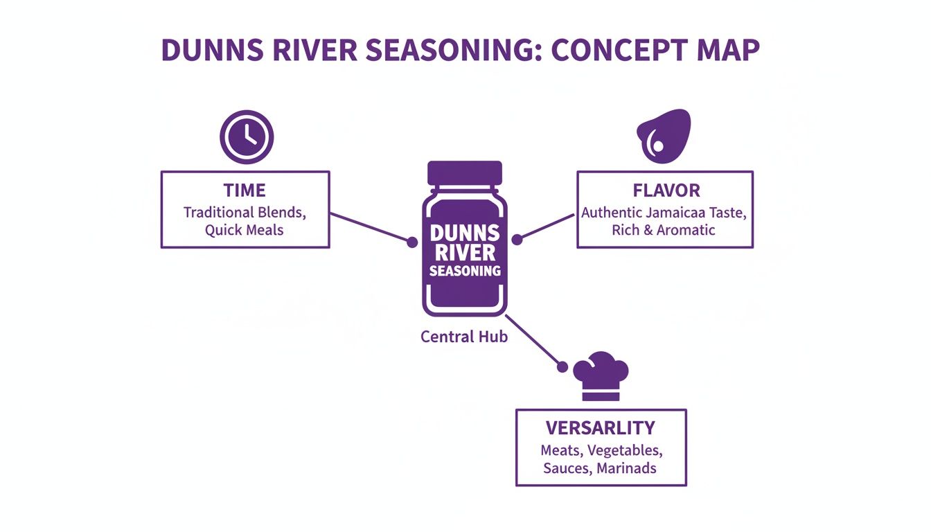 A concept map for Dunns River Seasoning, illustrating its versatility, flavor, and time-saving aspects.