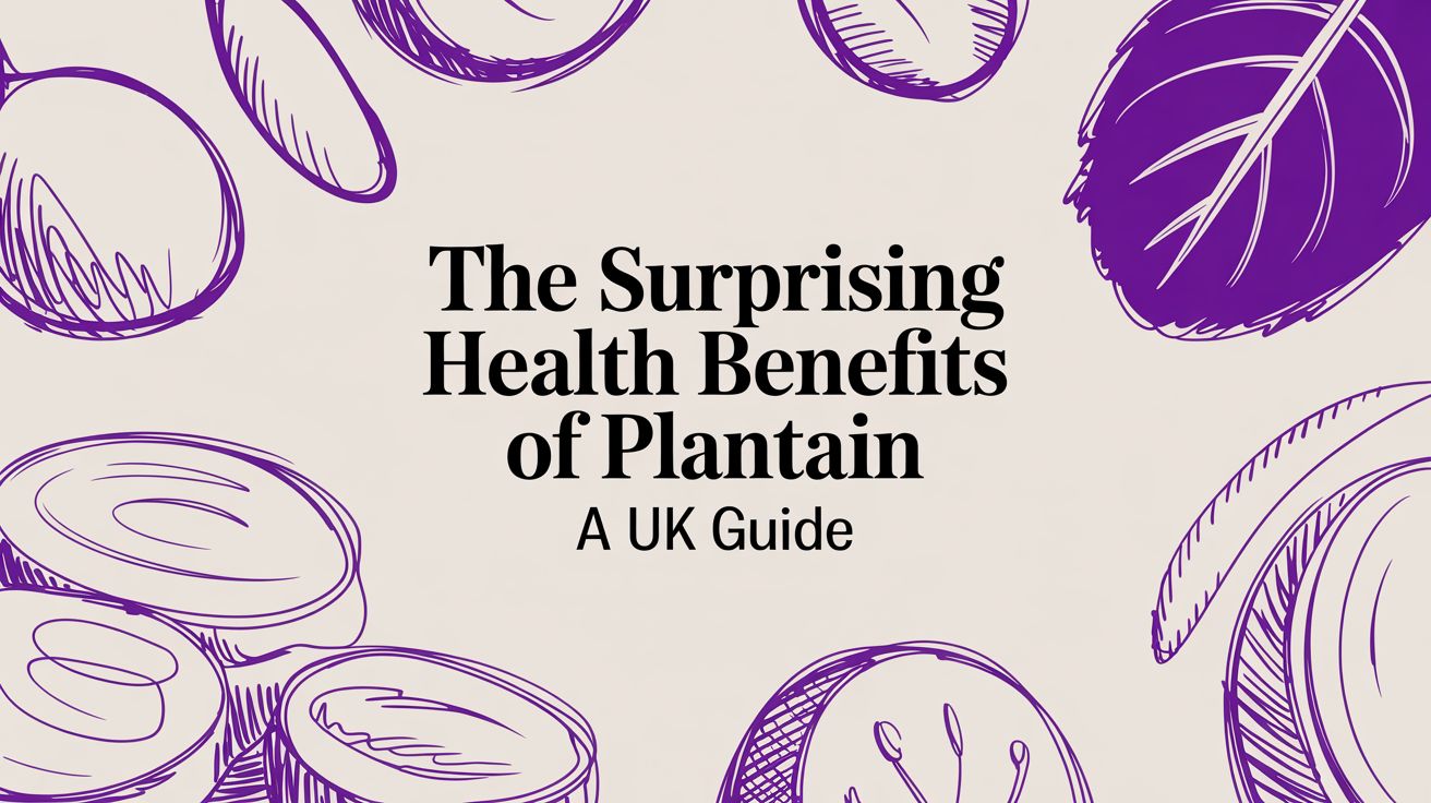 The Surprising Health Benefits of Plantain a UK Guide