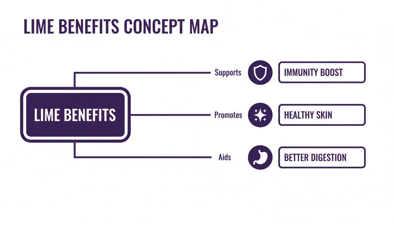 A concept map illustrating lime benefits, showing how it supports immunity, promotes healthy skin, and aids better digestion.