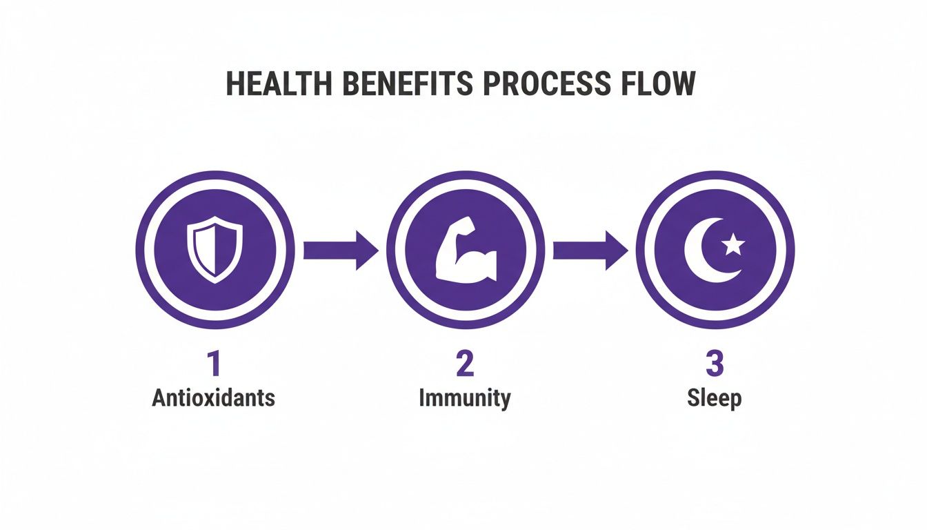 Process flow displaying health benefits: antioxidants (shield), immunity (bicep), and sleep (moon/star).